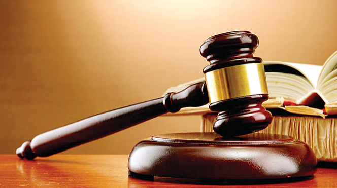 हाई कोर्ट ने जानवर मारने को लेकर लगाई कड़ाई से फटकार