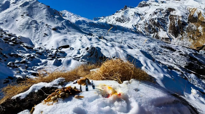 कड़ाके की ठंड से जमने लगा उत्तराखंड, बर्फबारी से सफेद हुआ औली