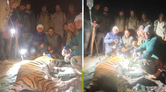 पकड़ा गया तीन महिलाओं को मारने वाला भीमताल का आदमखोर