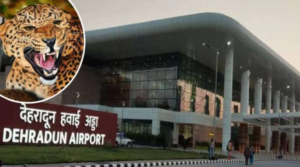 देहरादून एयरपोर्ट परिसर के CCTV कैमरे में कुत्ते पर हमला करते हुए गुलदार कैद