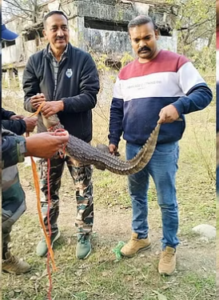 मगरमच्छ का किया रेस्क्यू