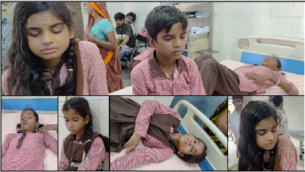 विद्यालय में पेड़ की टहनी गिरने से अफरा-तफरी, छात्र और प्रधानाचार्य घायल