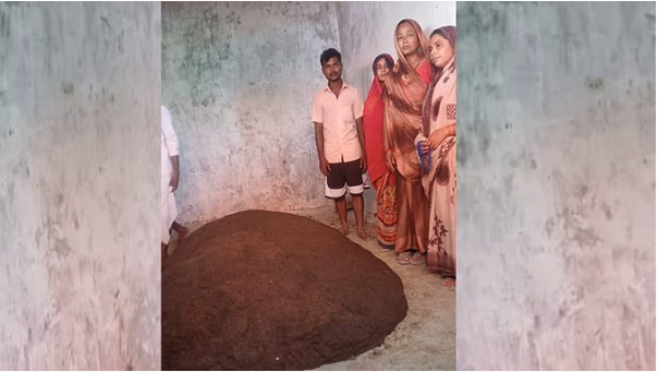 सर्पदंश से महिला की मौत, बाबा ने गोबर में दफन कर कहा 8 बजे जिंदा निकल आएगी