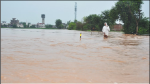 Haryana: हरियाणा में बाढ़ का कहर, 1233 गांव जलमग्न, 7 की मौत