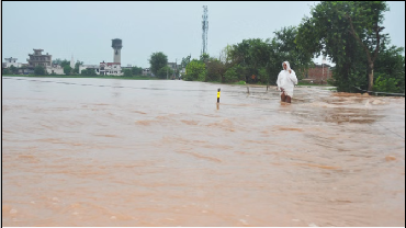 Haryana: हरियाणा में बाढ़ का कहर, 1233 गांव जलमग्न, 7 की मौत