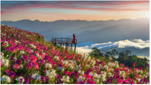 Uttarakhand: विश्व धरोहर फूलों की घाटी आज से बंद, इस वर्ष घटी पर्यटकों की संख्या |