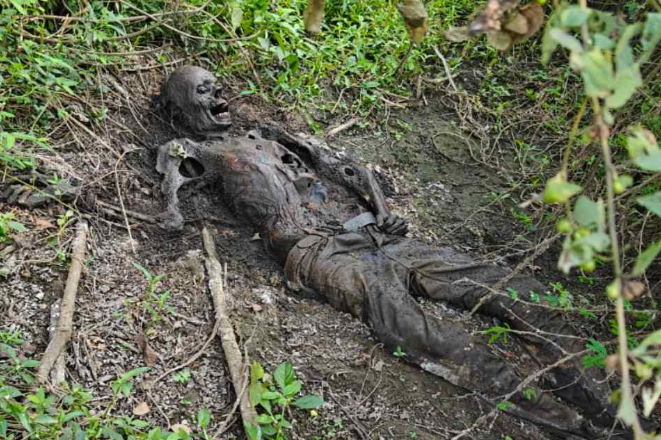 Chhattisgarh: झाड़ियाें से मिला नर कंकाल, शव की शिनाख्ती के लिए जुटी पुलिस