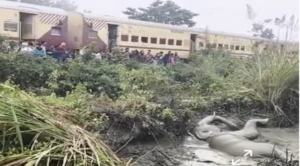 ट्रेन की चपेट में आने से हाथी घायल, 15 घंटे तालाब में तड़पता रहा, नहीं पहुंची रेस्क्यू टीम