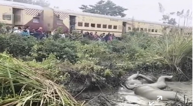 ट्रेन की चपेट में आने से हाथी घायल, 15 घंटे तालाब में तड़पता रहा, नहीं पहुंची रेस्क्यू टीम