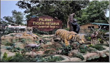 पीलीभीत टाइगर रिजर्व: चूका बीच की नैसर्गिक सुंदरता और रोमांचक जंगल सफारी का अनुभव |
