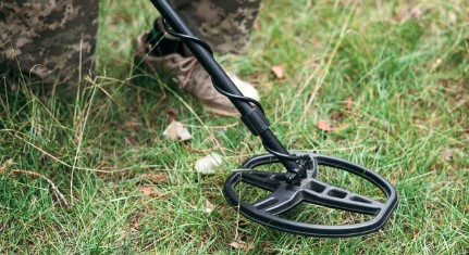 दिल्ली स्कूल में बम की धमकी से हड़कंप, पुलिस ने चलाया सर्च ऑपरेशन