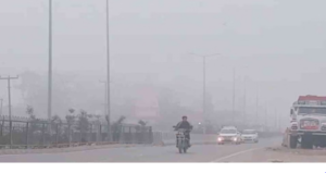 कोहरा बढ़ाएगा ठंड, ऊधमसिंह नगर में यलो अलर्ट जारी
