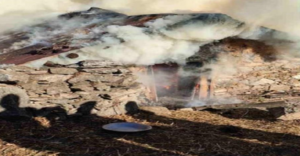 भयानक आग हादसा: जिंदा जलकर छह पशुओं की मौत |