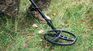 स्कूलों को बम से उड़ाने की धमकी, मचा हड़कंप, तलाश जारी