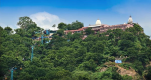 मानसा देवी पहाड़ी पर लगी आग, 3 लोग चपेट में आए; मौके पर पहुंची दमकल की टीम