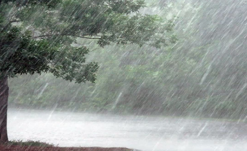 उत्तराखंड में 19 और 20 मार्च इन जिलों में तूफान और बारिश का ऑरेंज अलर्ट जारी