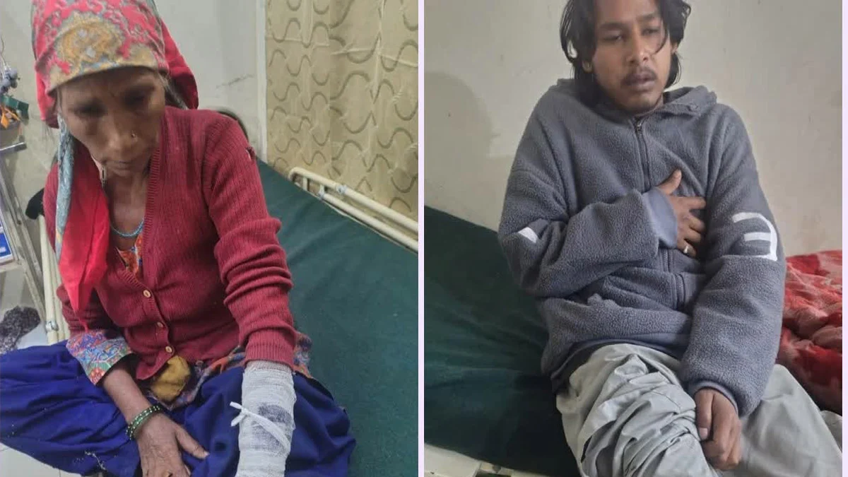 Joshimath में भालू का आतंक, एक ही परिवार के चार लोगों पर हमला गाय की मौत, घायलों को हायर सेंटर रेफर