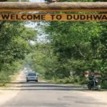 UP के जंगलों की दुनिया देखेगी पूरी दुनिया, दुधवा , पीलीभीत के बाघों पर डॉक्यूमेंट्री बनाएंगे सुबैया नल्लामुत्थू